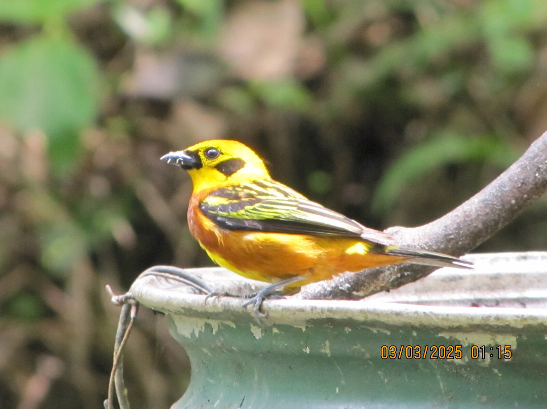 Posada Ecológica Casa María主图