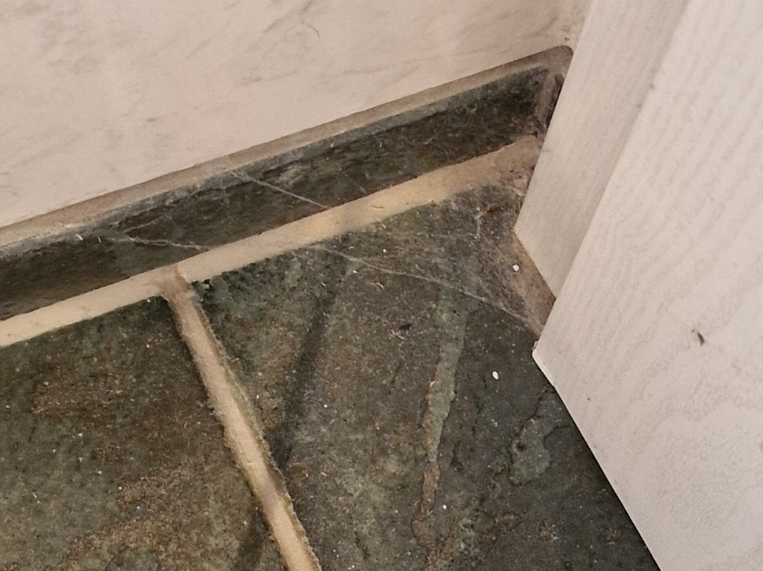 Hotel-Restaurant Schneider主图