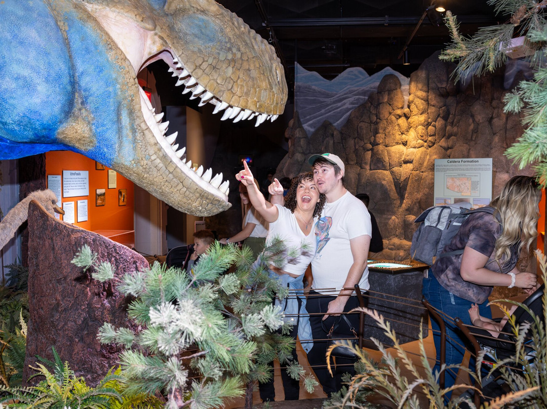 Arizona Museum Of Natural History景点图片