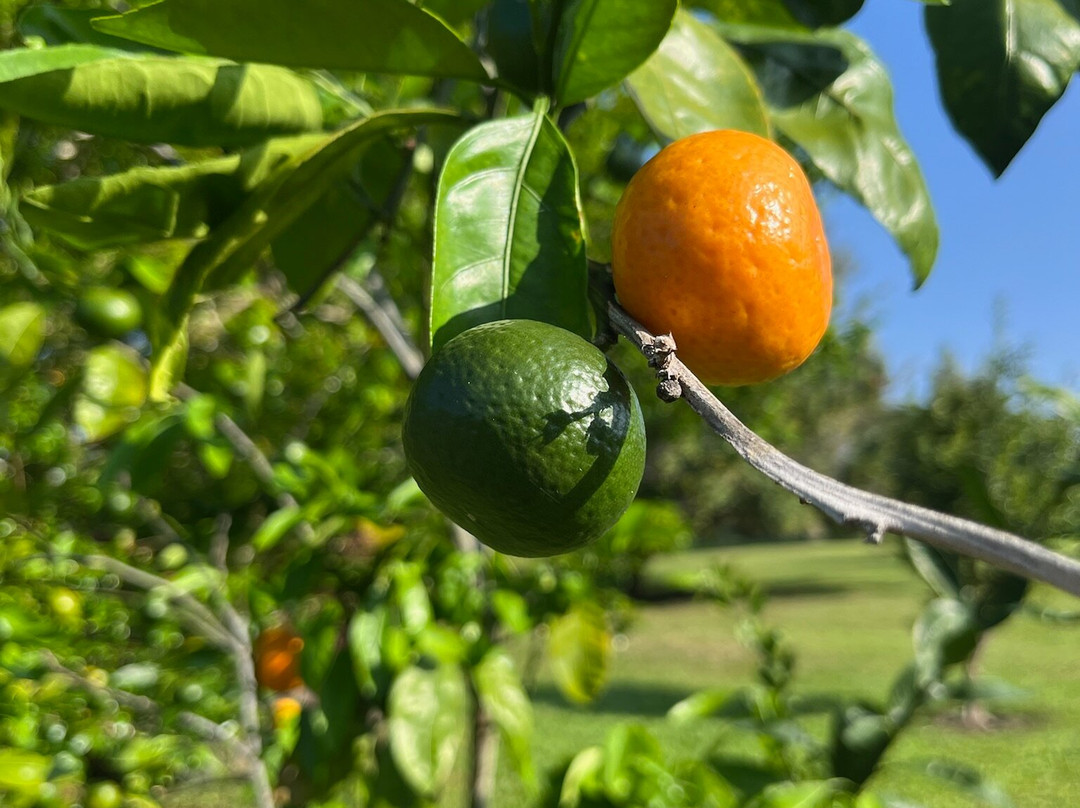 阿洛哈宾馆主图