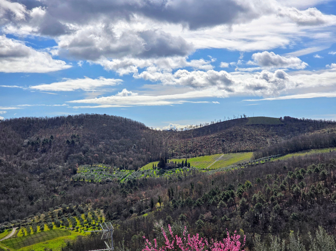 Azienda Agricola Altiero (Winery)-格雷韦伊恩基亚恩蒂必去景点