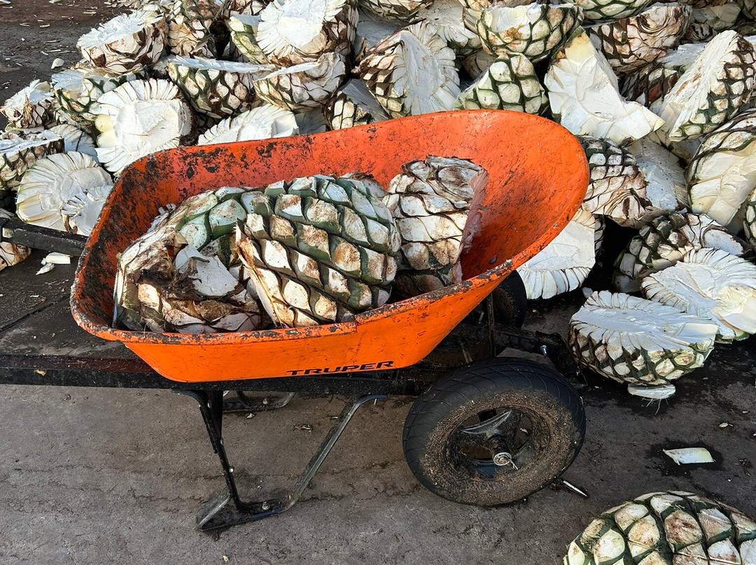 Casa Salles Hotel Boutique主图