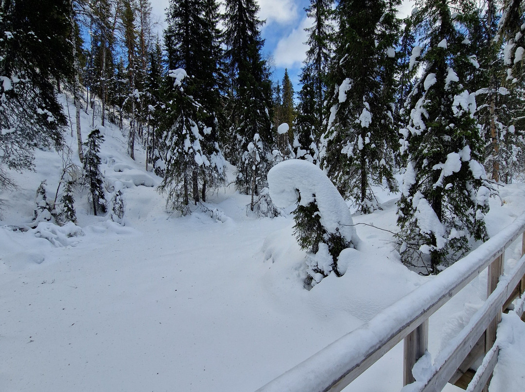 Pure Lapland-罗瓦涅米必去景点