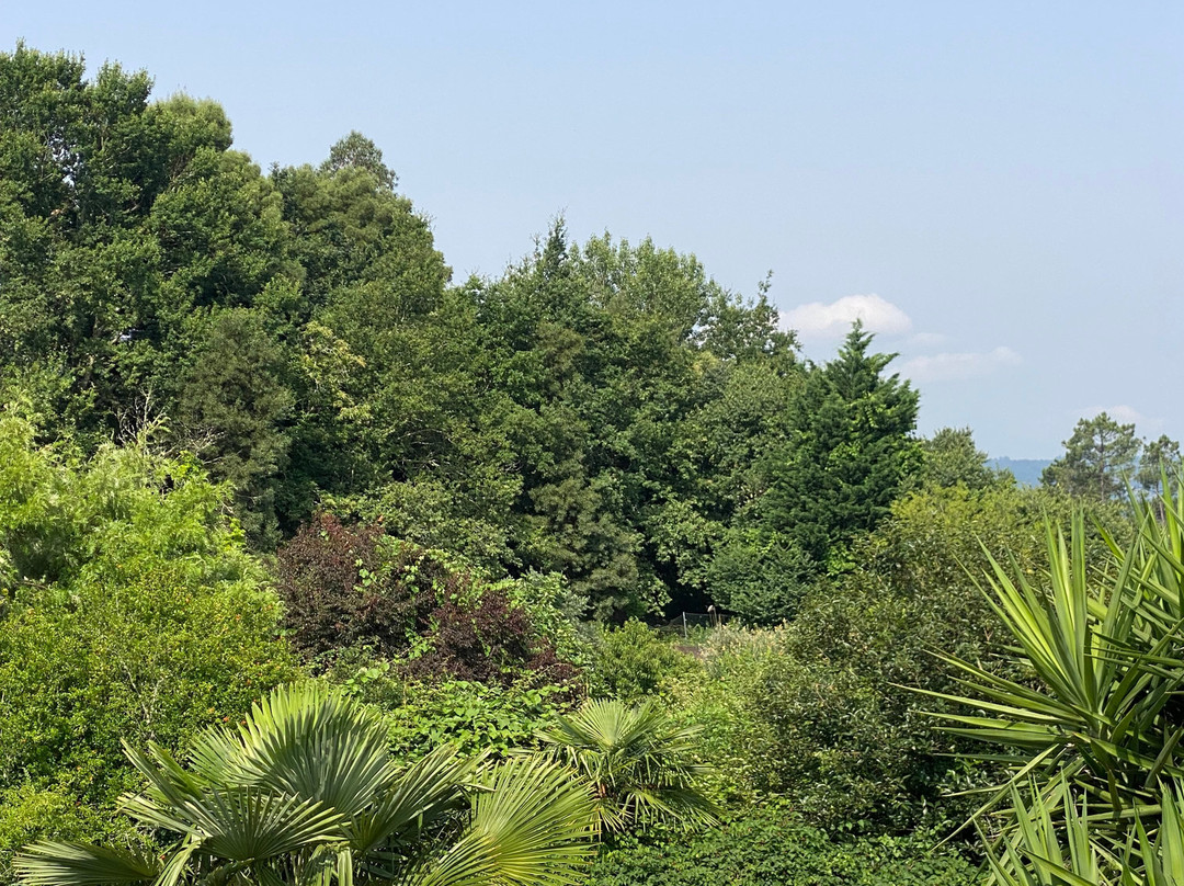 Quinta de Ribas主图