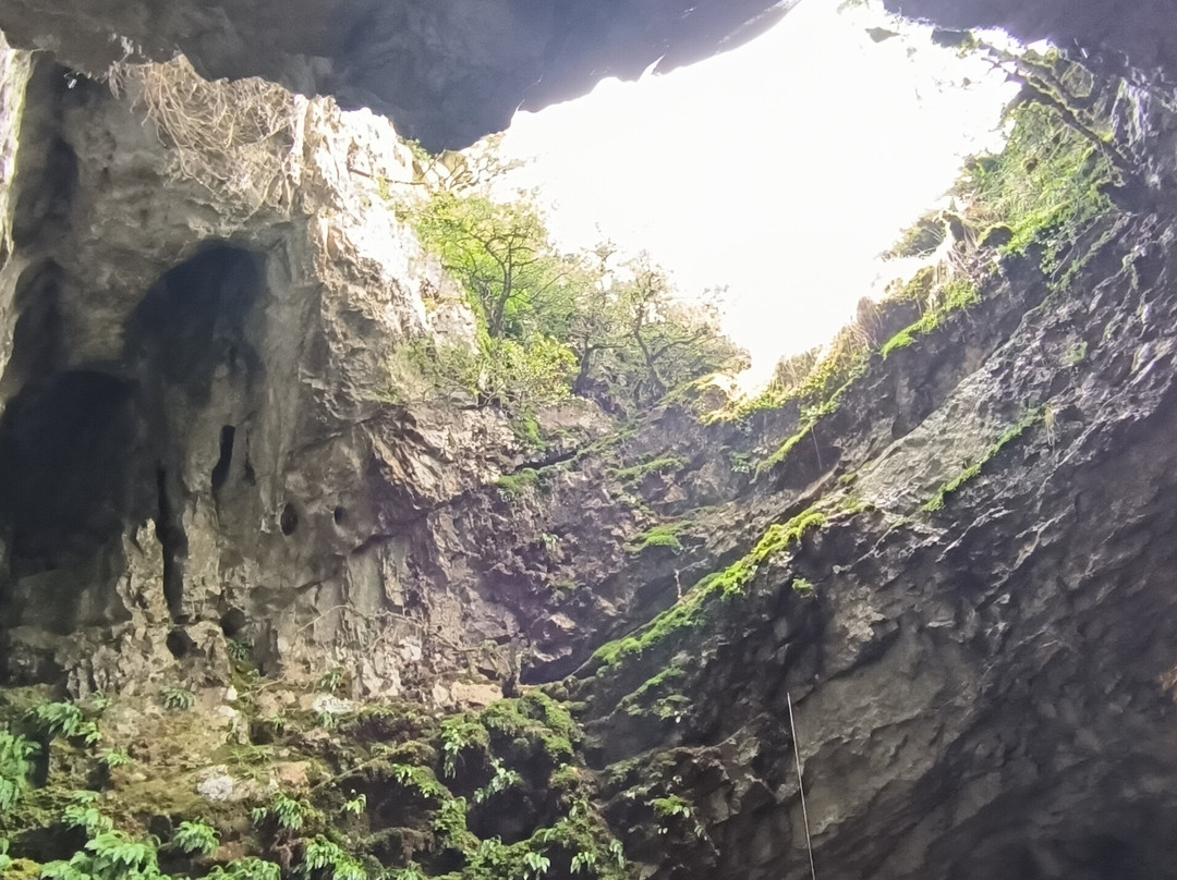 Cueva de las Güixas景点图片
