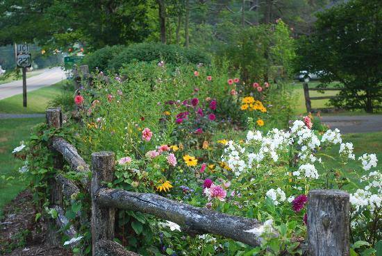 Eseeola Lodge at Linville Golf Club主图