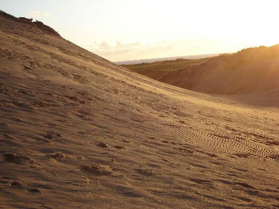 The Brookfield主图