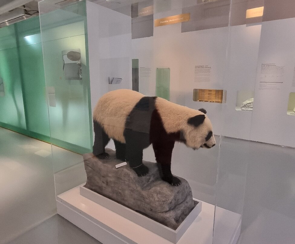 Naturhistorisches Museum Basel-巴塞尔必去景点