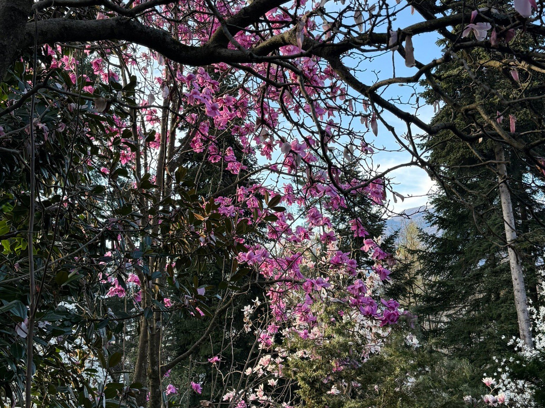 Parco Botanico del Gambaragno-San Nazzaro必去景点