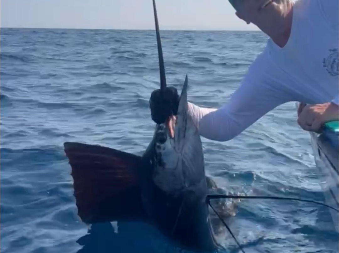 Fishing Adventures-Playas del Coco必去景点