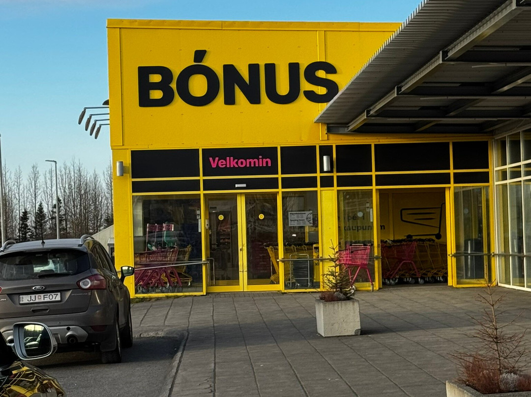 Bonus-雷克雅未克必去景点