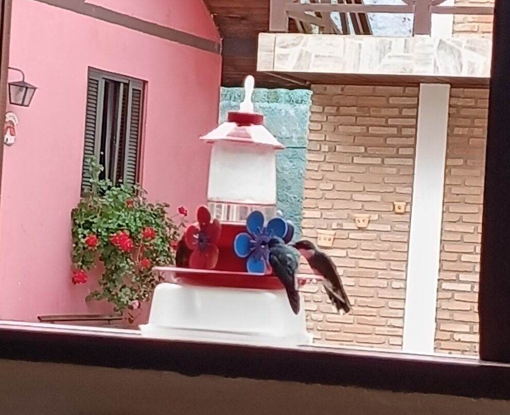 Pousada Encanto da Serra主图