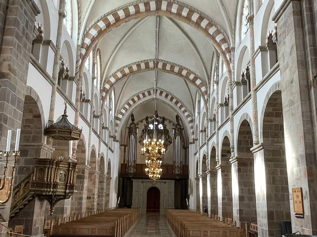 Ribe Domkirke-里伯必去景点