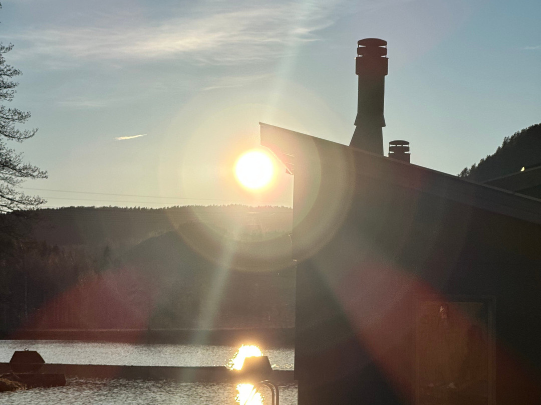 Skogens Rom Sauna