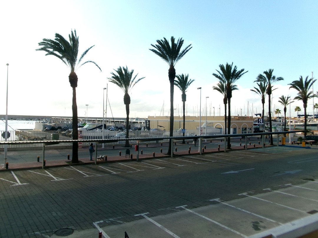 Paseo Maritimo Rey De España景点图片