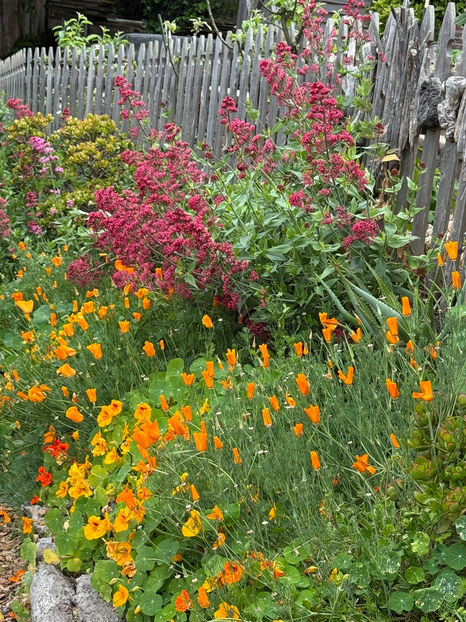 Inn at Depot Hill-官方