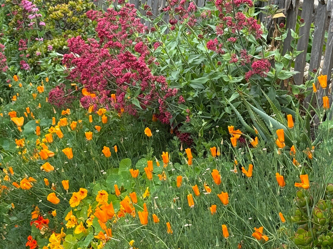 Inn at Depot Hill主图