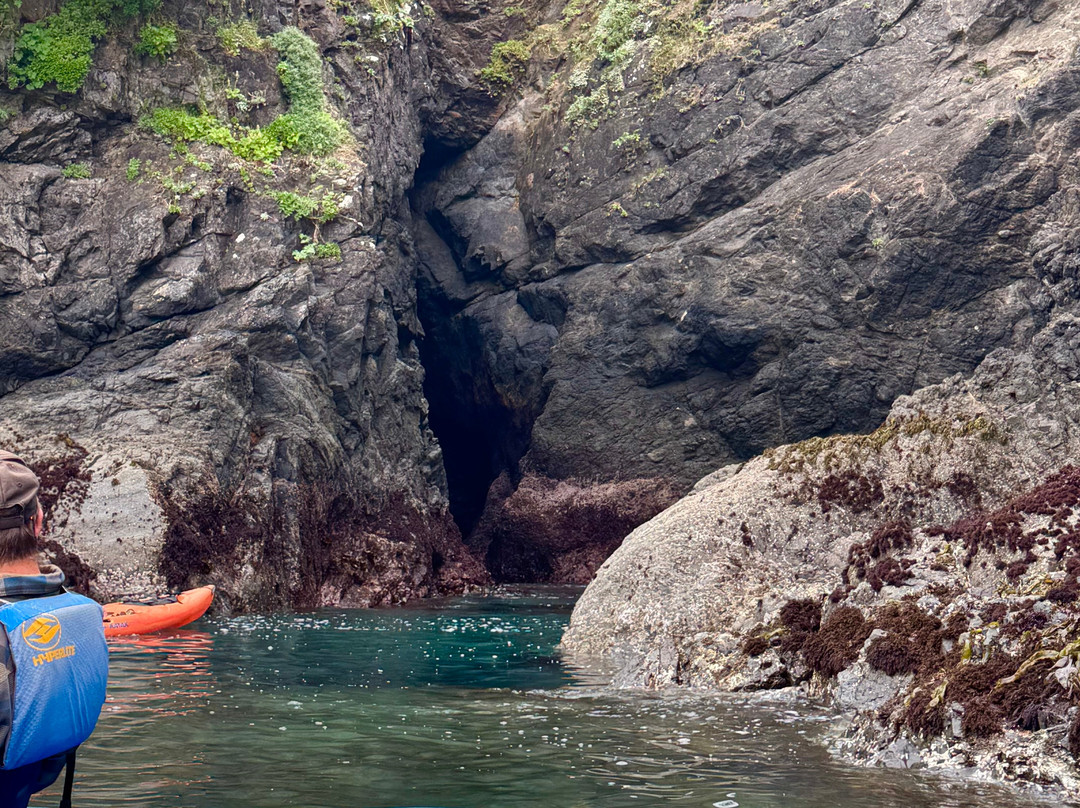 Kayak Mendocino景点图片