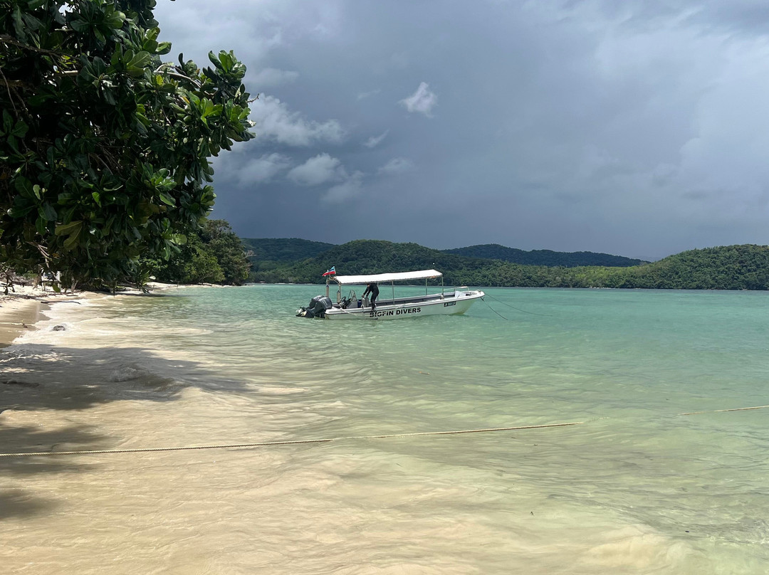 Bigfin Divers-哥打毛律必去景点