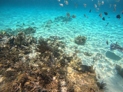 Island Breeze Charters Cayman-大开曼岛必去景点