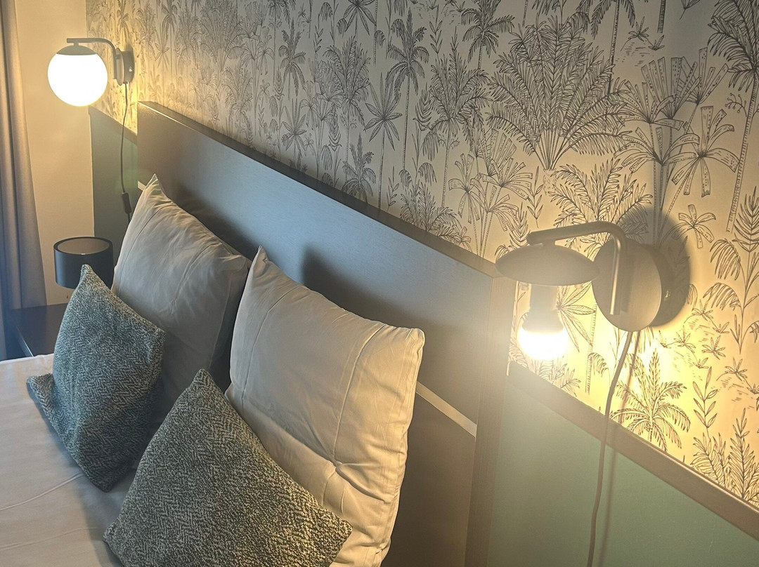 Nemea Appart'hotel Home Suite Nancy Centre主图