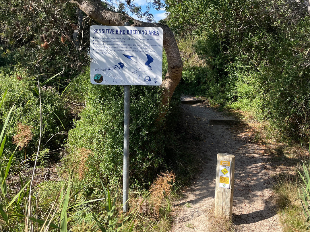 Redbill Beach-比奇诺必去景点