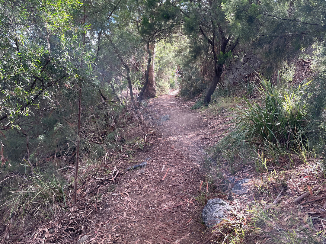 Whalers Lookout-比奇诺必去景点