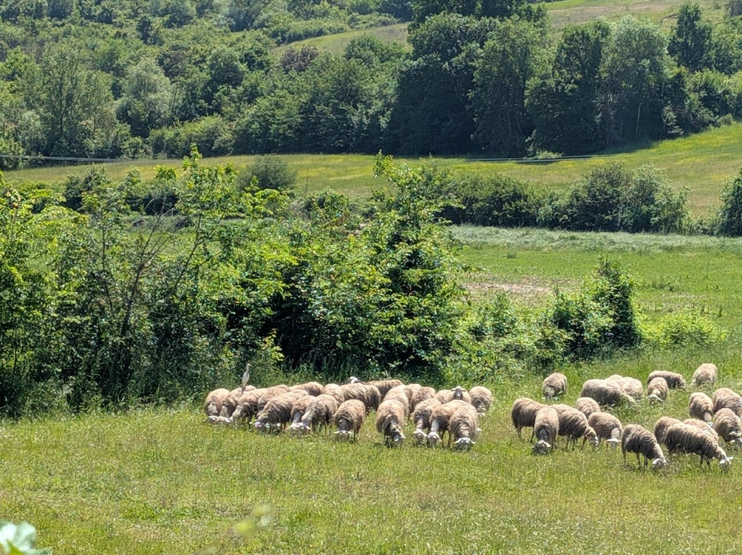 On The Tuscan Bike-Laterina必去景点