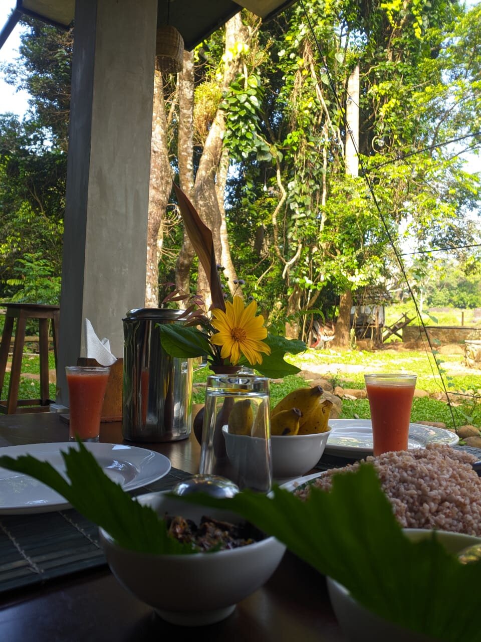 The Forest Escape by Galarawa Lodge-官方