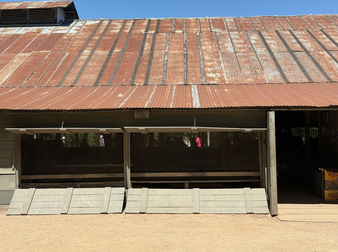 Gruene Hall-新布朗费尔斯必去景点
