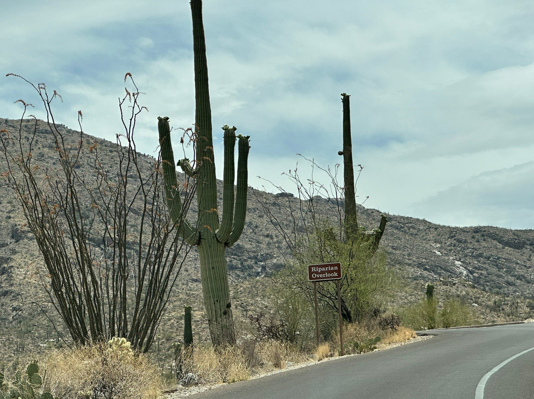 Holiday Inn Express & Suites Surprise by IHG主图