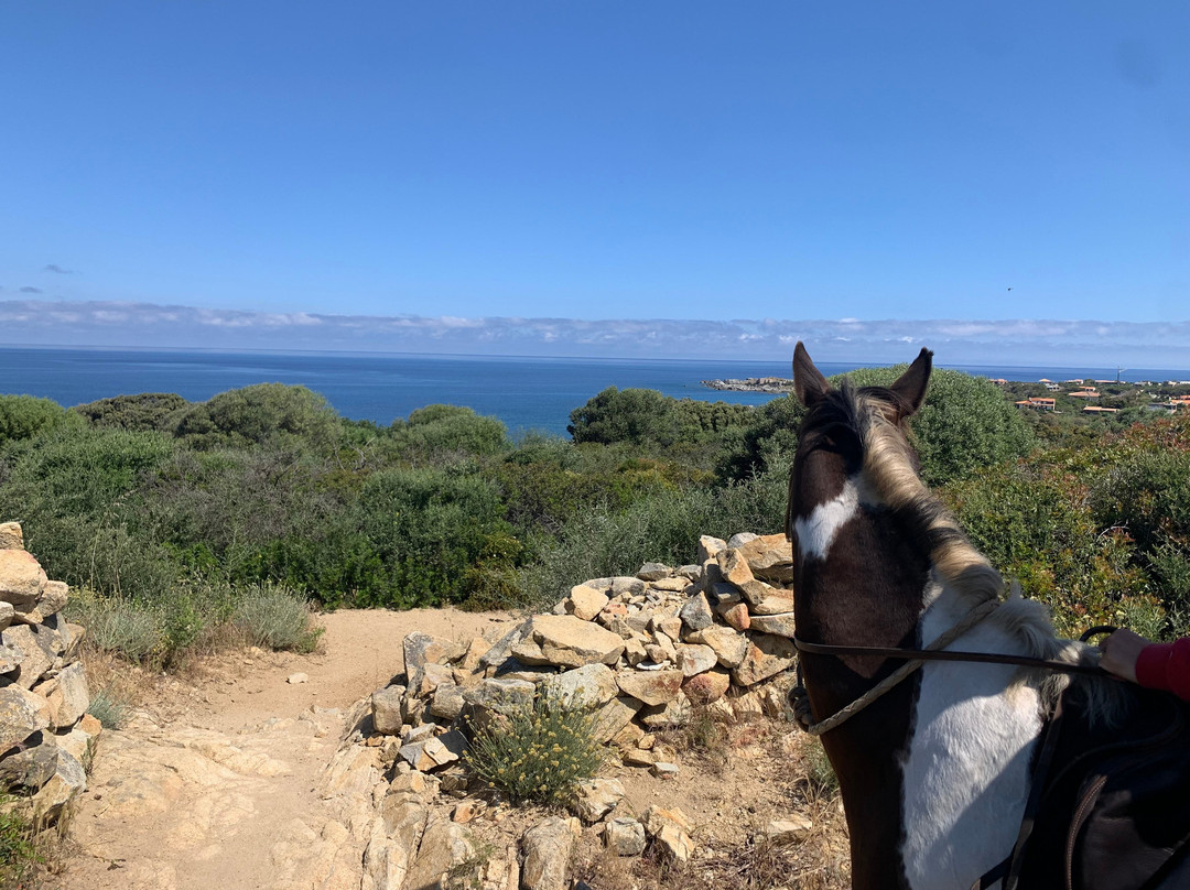 Centre Équestre L'ypsos-Pigna必去景点