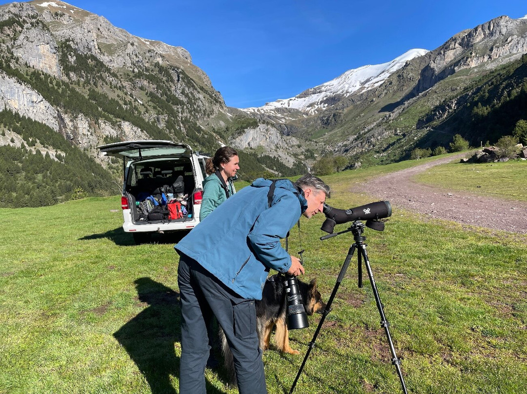Senderos Ordesa-Ordesa y Monte Perdido National Park必去景点