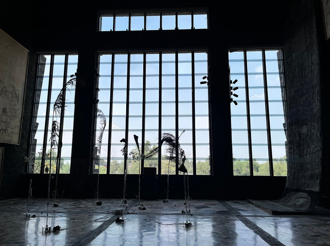 Museo Diego Rivera Anahuacalli-墨西哥城必去景点