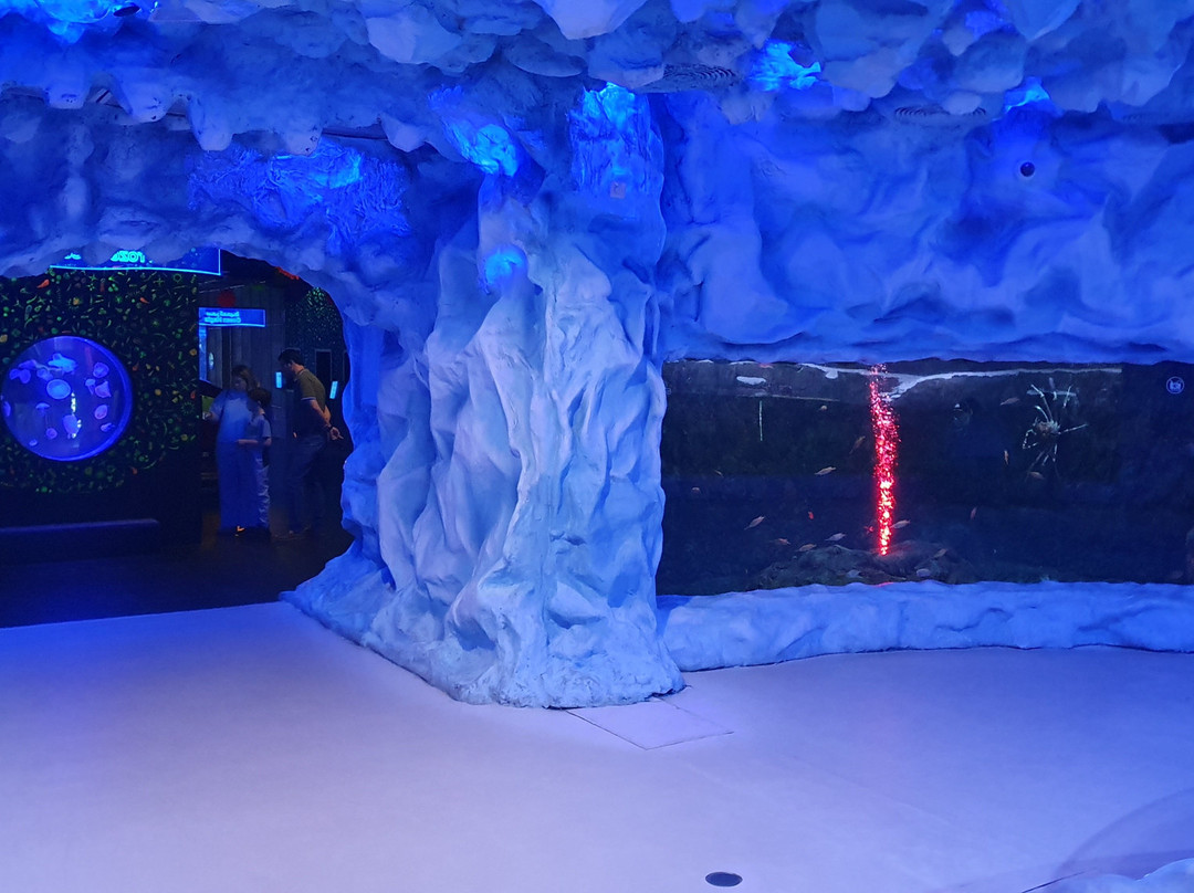 The National Aquarium Abu Dhabi景点图片