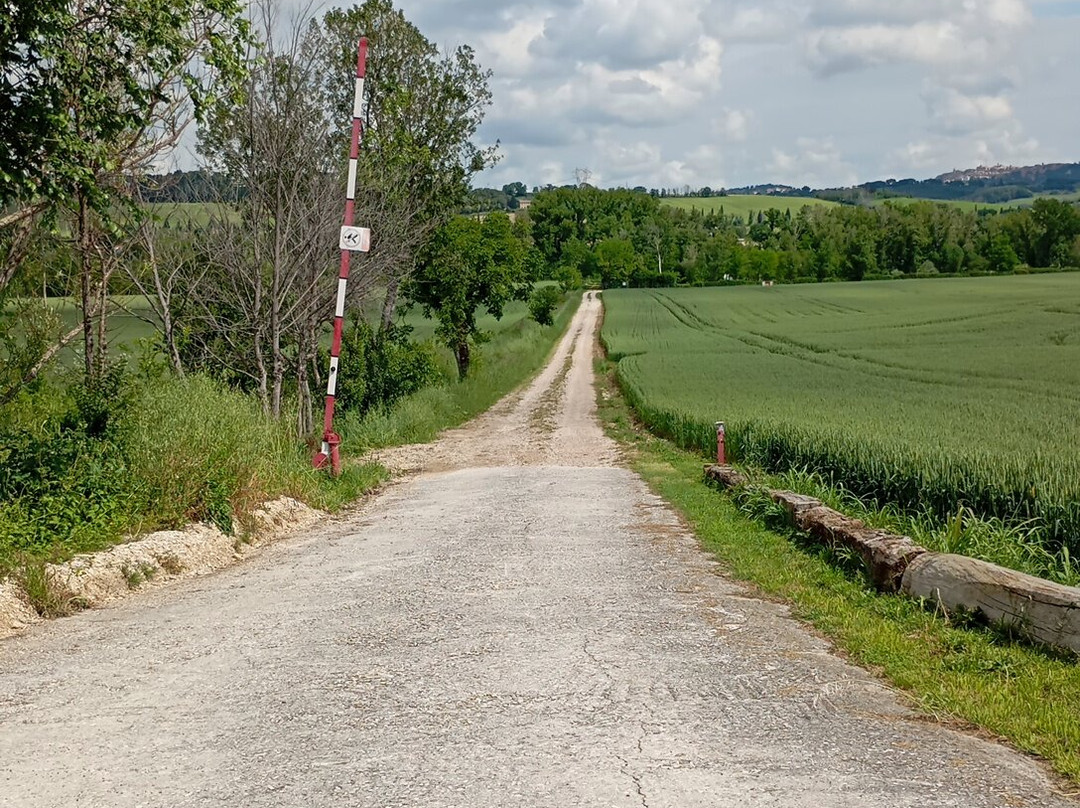 Località Rambona景点图片