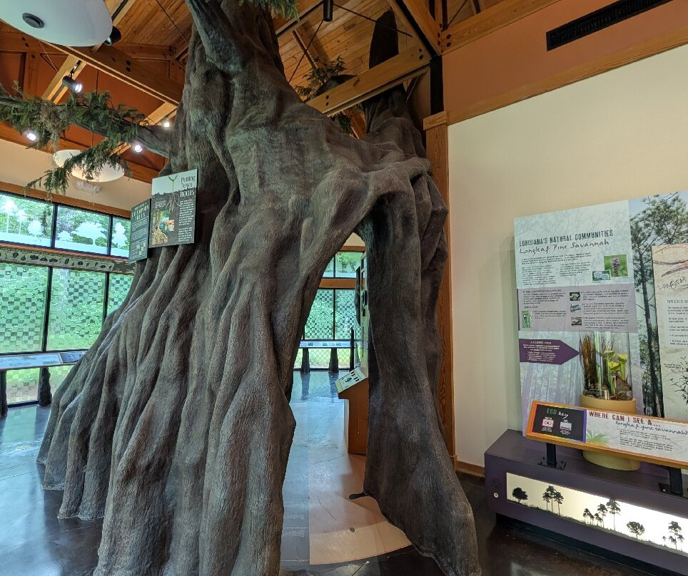 Louisiana State Arboretum景点图片