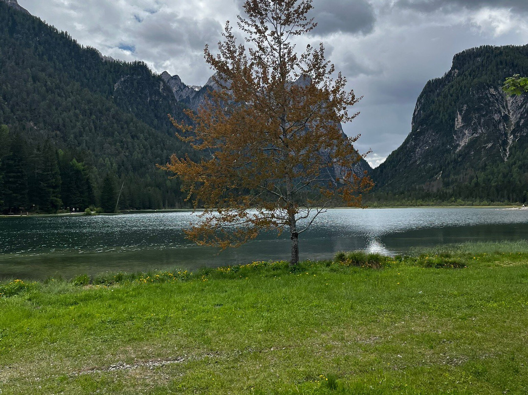 Lago di Dobbiaco景点图片