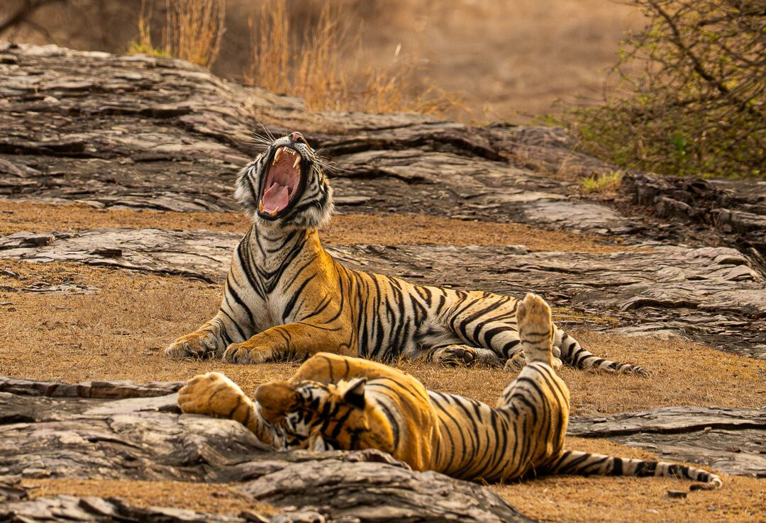 Sudhir Shivaram Photography-班加罗尔必去景点