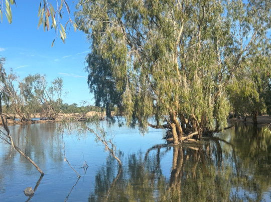 Talaroo Hot Springs-Mount Surprise必去景点