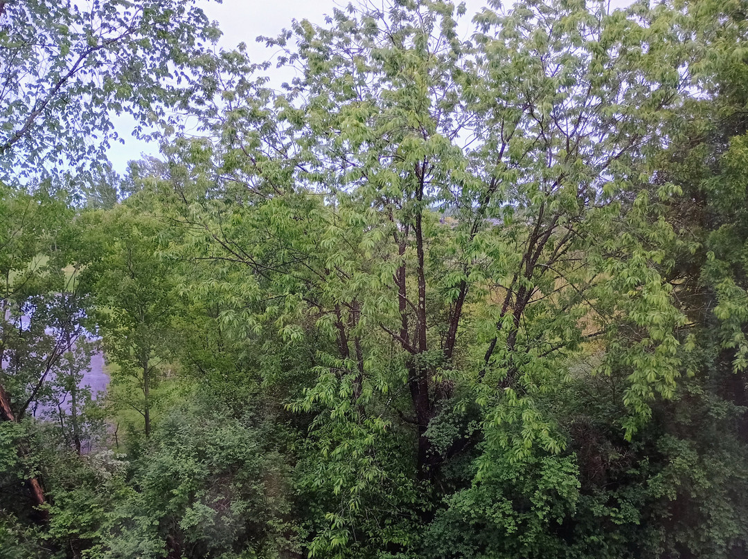 Best Western Dubois Hotel主图