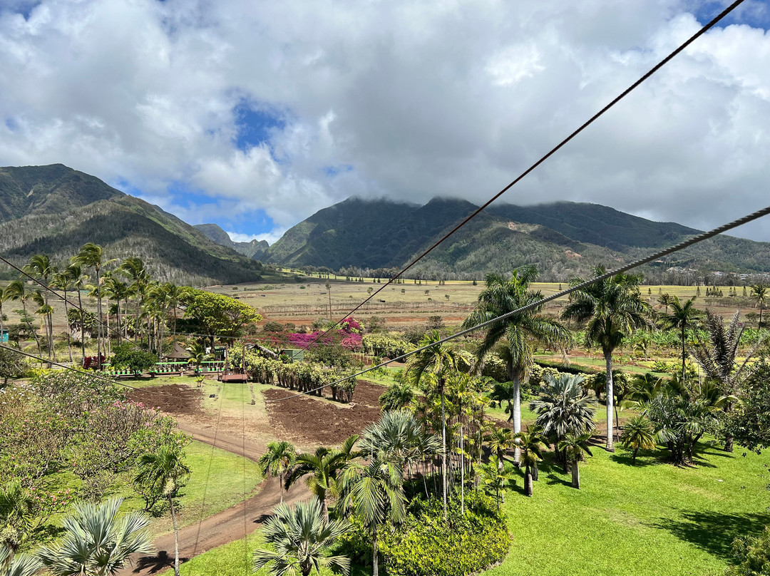 Maui Zipline Company-怀露库必去景点