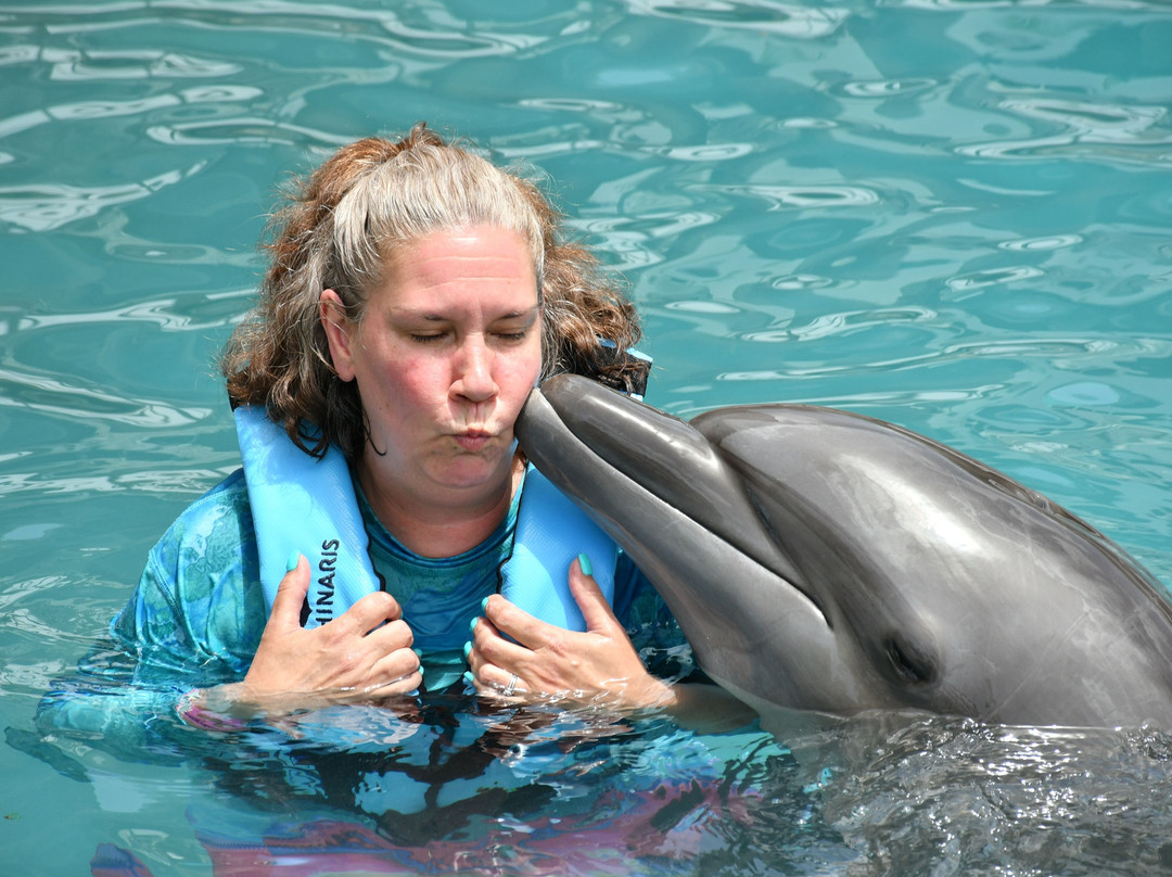 Dolphinaris Riviera Maya Park景点图片