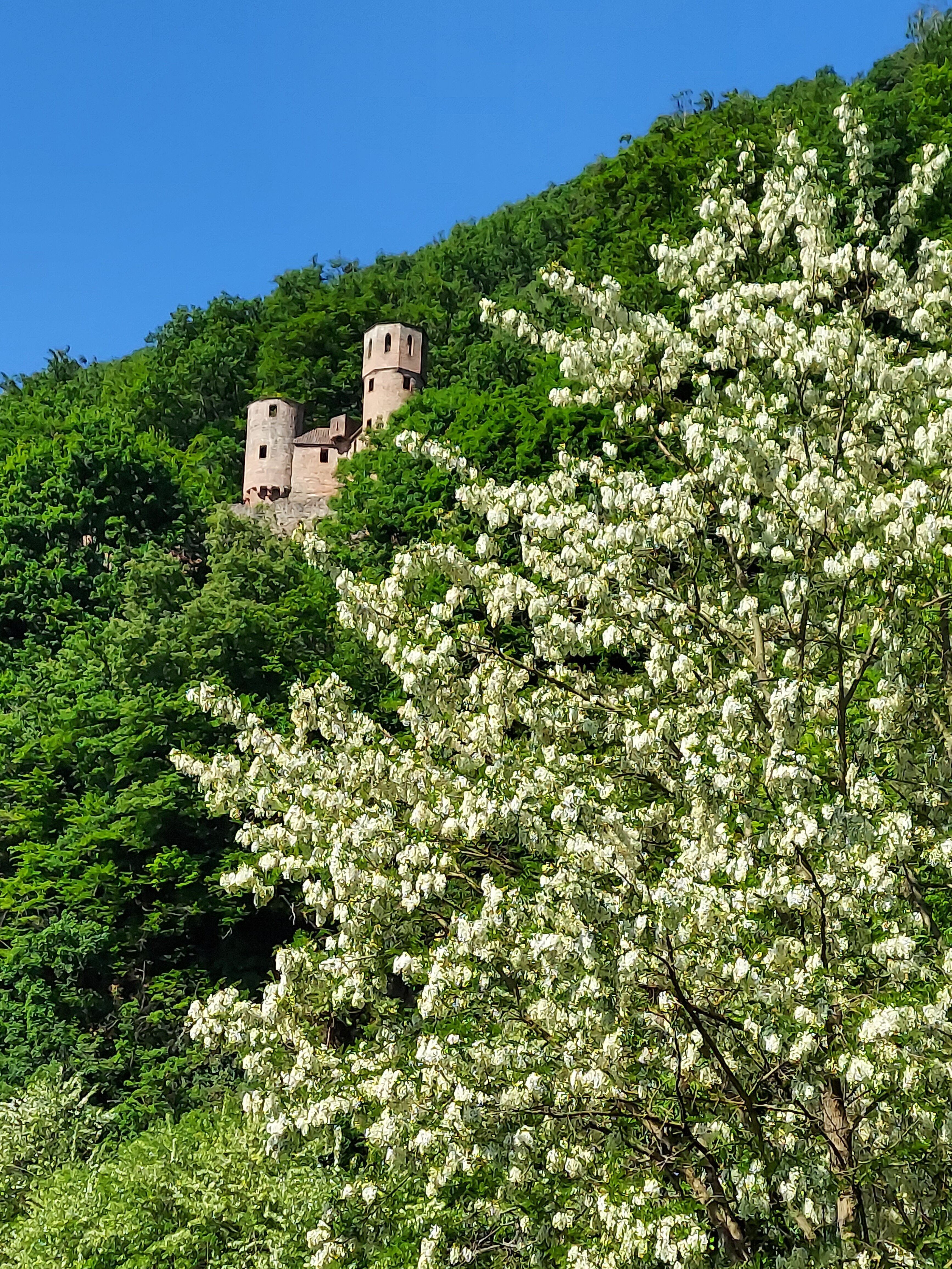 Hotel Terrassencafe Vierburgeneck-官方