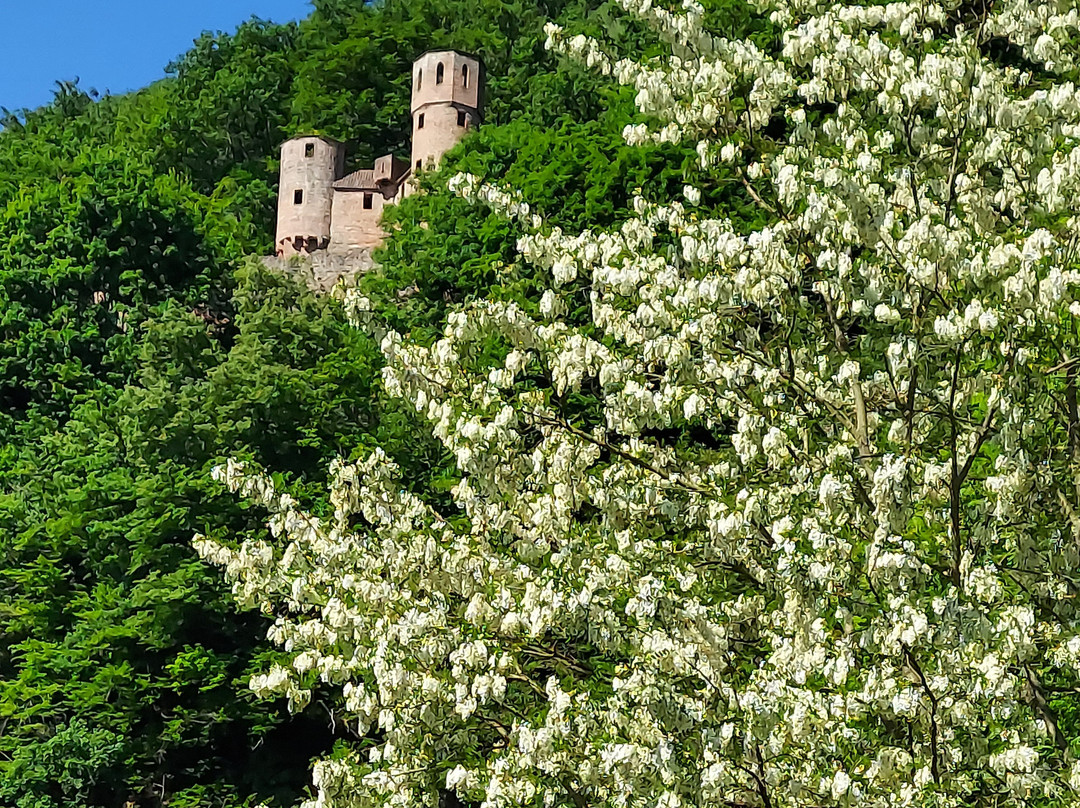Hotel Terrassencafe Vierburgeneck主图