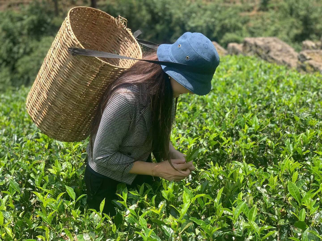 Explore More Travels & Tours-奴娃拉伊利雅必去景点