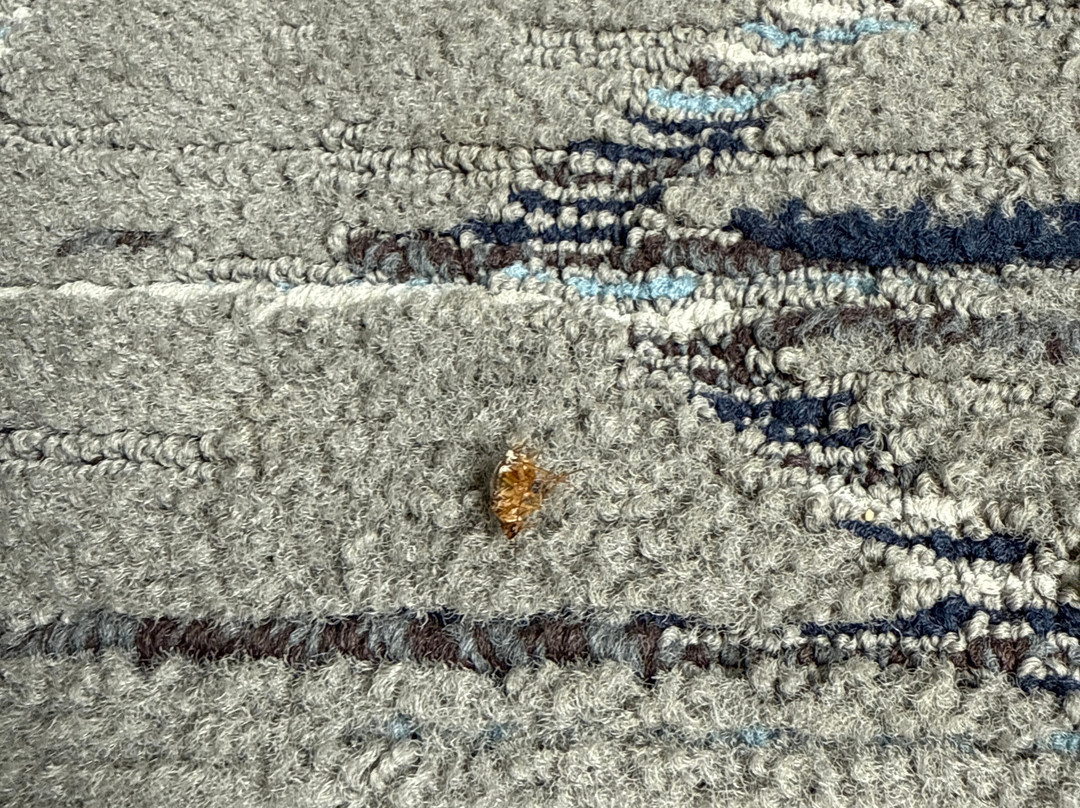 水晶河快捷假日酒店主图