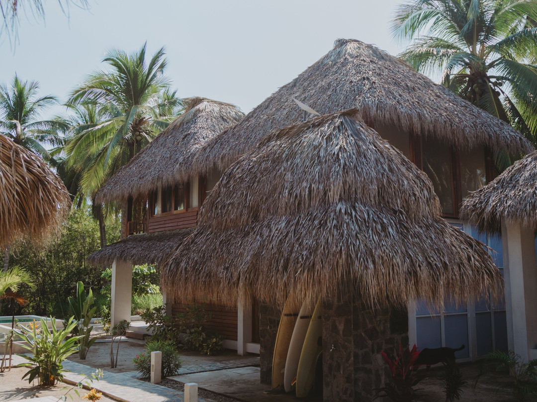 Gato Surf Houses