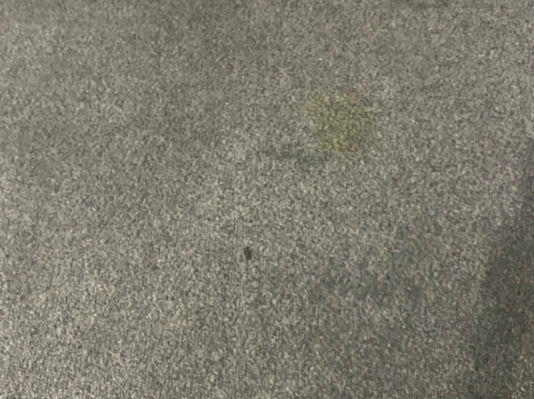 Lindy Lodge Motel主图