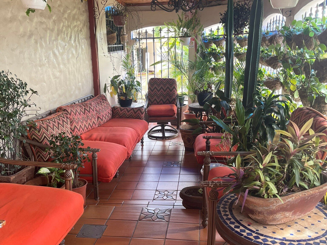 Hotel Casa Roland San Jose主图